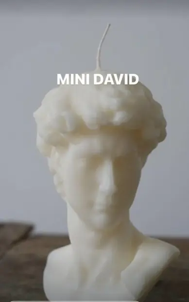 MINI DAVID